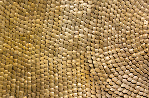 规模的盔甲图片下载