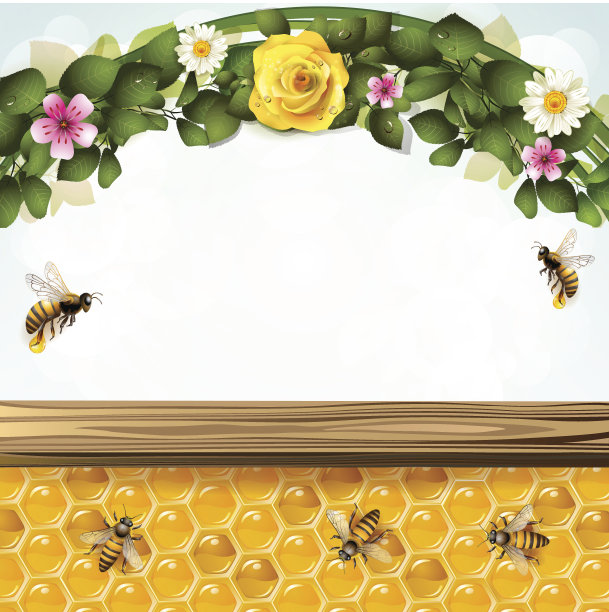 蜜蜂和蜂窝图片下载