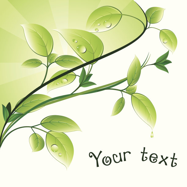 绿色的树叶图片下载