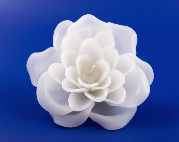 蜡烛玫瑰图片下载