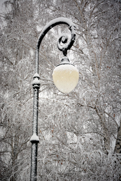 暴风雪期间被雪覆盖的路灯图片下载