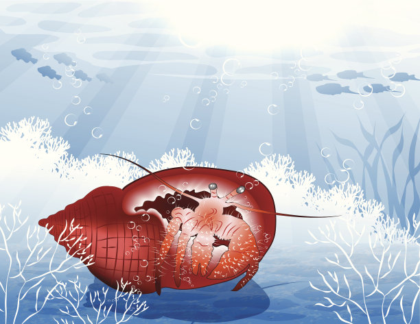 蟹水下图片下载