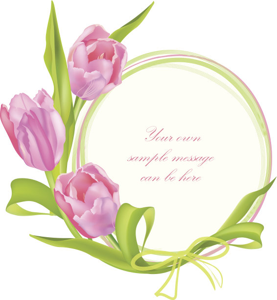 花郁金香框架。图片下载