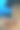 沉船上的海葵鱼图片下载