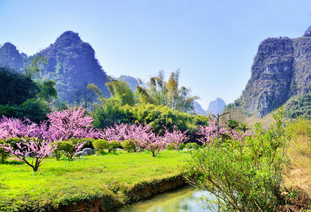 自然风光、桃花和喀斯特地貌素材图片