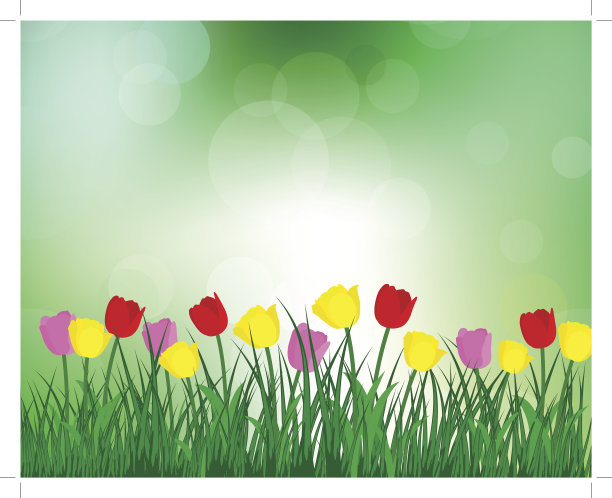 夏天的草地图片下载