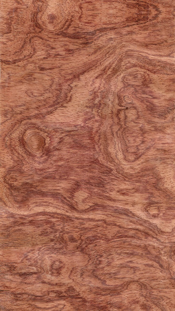 布宾加·庞梅勒图片下载