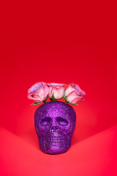 红色背景上的紫色闪光骷髅与粉色玫瑰头饰图片下载