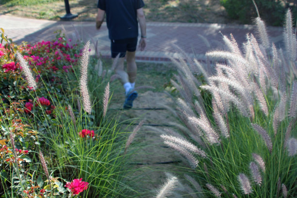 步行健身图片下载