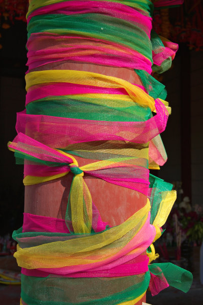 打着蝴蝶结极图片下载