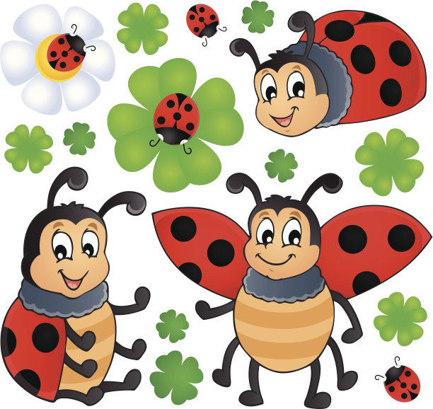 图像与瓢虫主题1图片下载