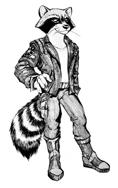 浣熊穿着摩托车服图片下载