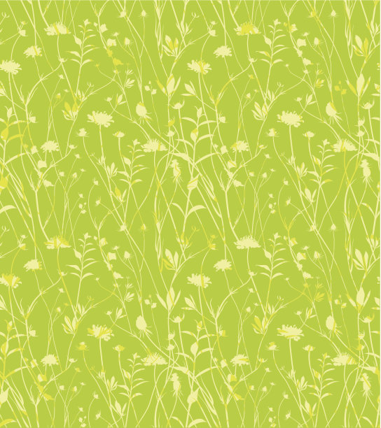 野花绿色的背景。图片下载