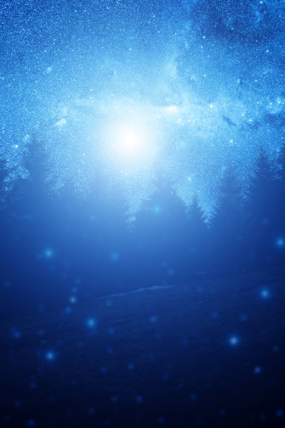 繁星点点的森林中树木的剪影图片下载