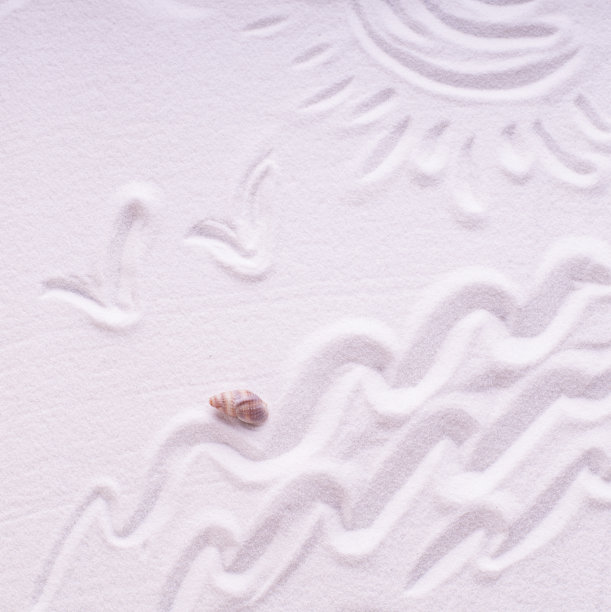 沙滩上的贝壳图片下载