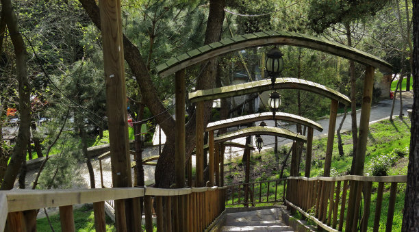 通往公园的楼梯图片下载