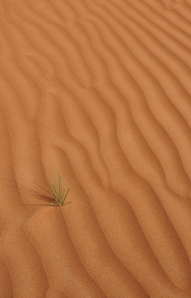 极端的生活2图片下载