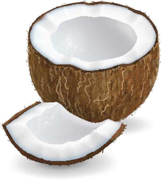 椰子片孤立在白色背景上。现实的矢量图图片下载