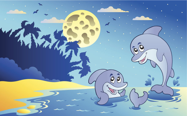 有两只海豚的夜景图片下载