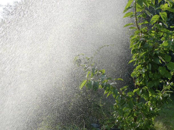 给花园浇水图片下载