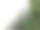 给花园浇水图片下载