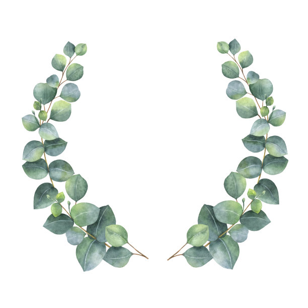 花卉插画素材ID：139085950