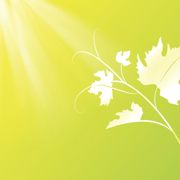 葡萄酒叶图片下载