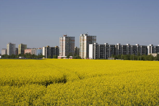 城市扩张图片下载