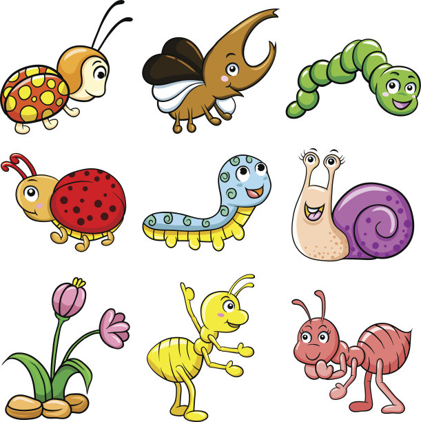 昆虫。图片下载