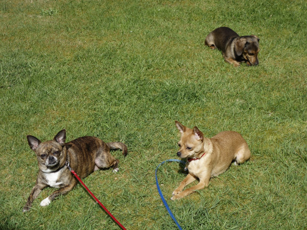 管理团队图片下载