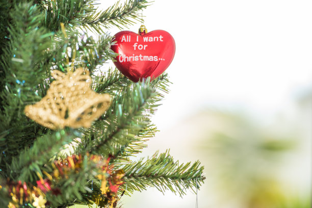 圣诞装饰图片下载