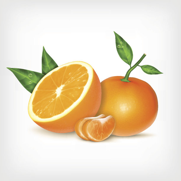 成熟的橘子和橙子图片下载
