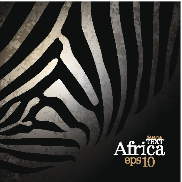 斑马纹，非洲背景。图片下载