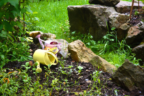 草的花园图片下载