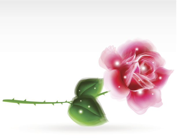 粉红玫瑰花卉设计元素。向量图片下载