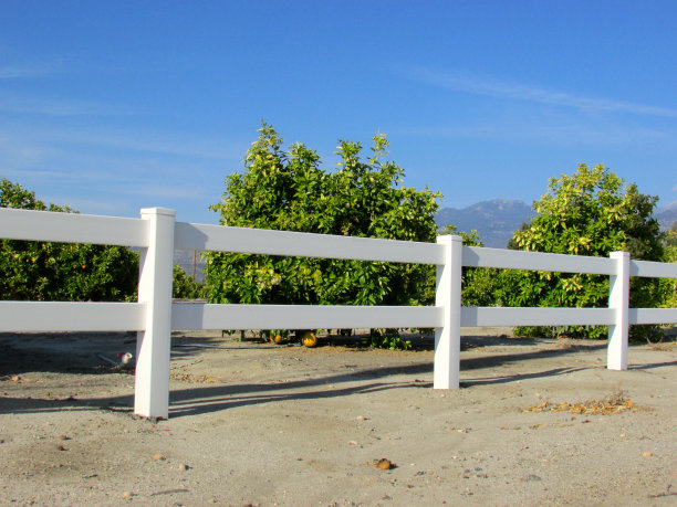 沿着橘子林的栅栏图片下载