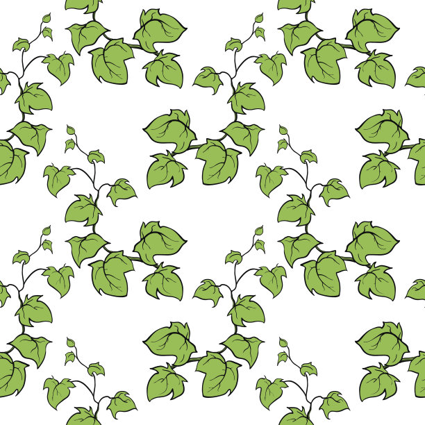 常青藤矢量手绘无缝图案。爬木本植物。图片下载