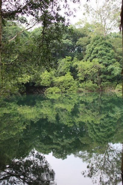 山与树的倒映图片下载