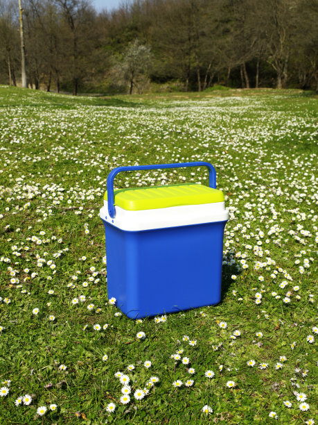 草地上的便携式野餐冷却器图片下载