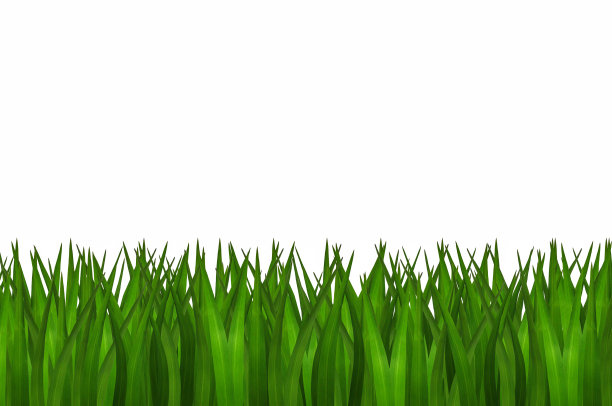 绿草孤立图片下载