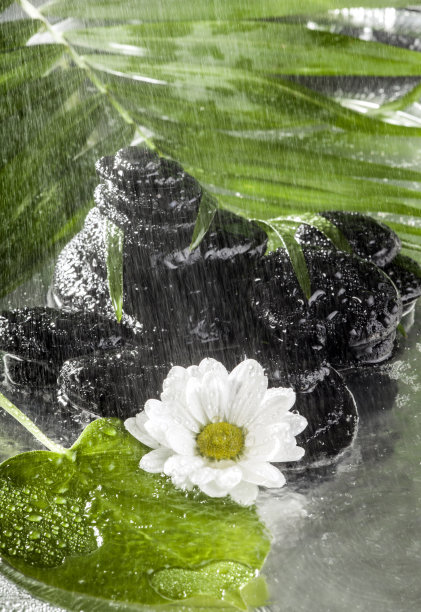 水疗中心的背景图片下载