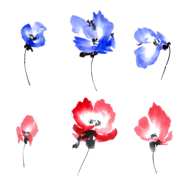 蓝色和红色的花集合图片下载