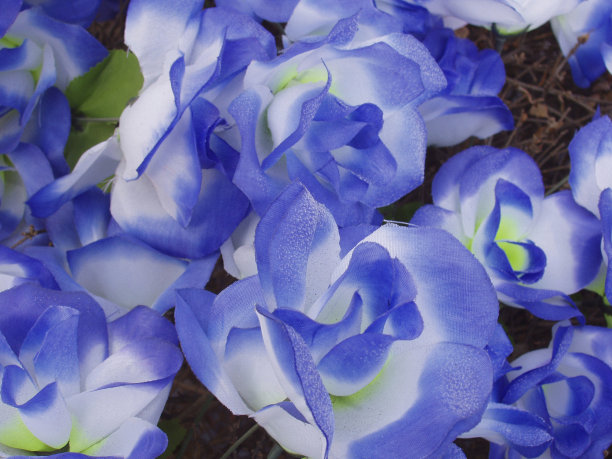 花的丝绸图片下载