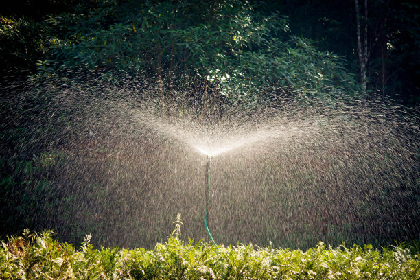水施普林格在蔬菜花园的复古背景图片下载