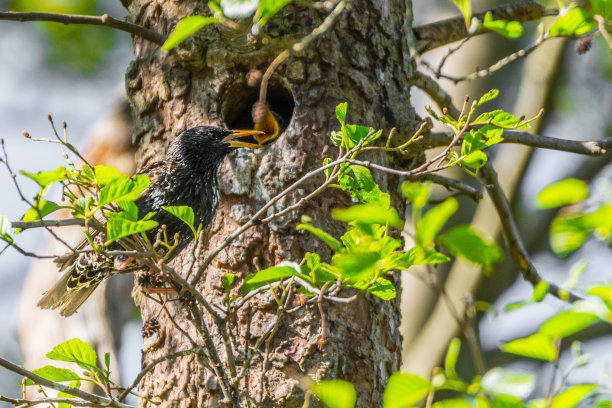 明星照片图片下载