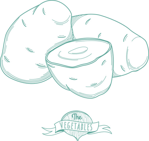 马铃薯手绘轮廓图(平纹细线)图片下载