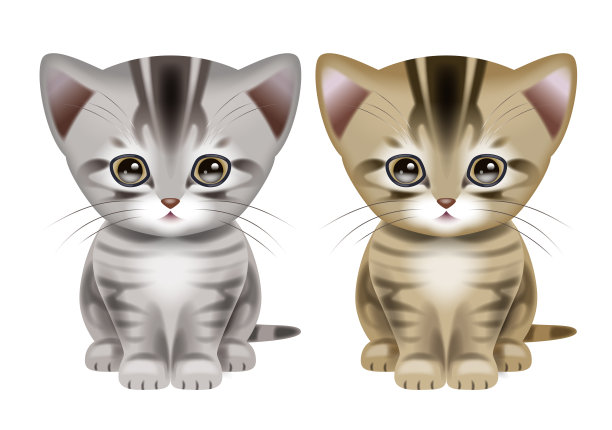 短毛猫插图。图片下载