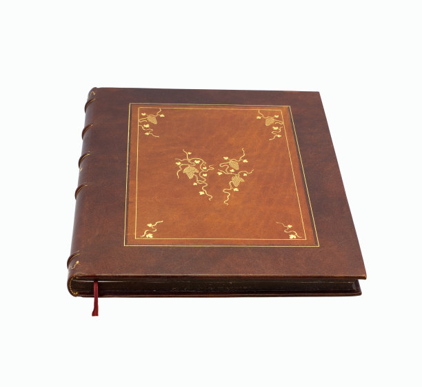 布朗的书图片下载