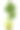 新鲜kohlrabi图片下载