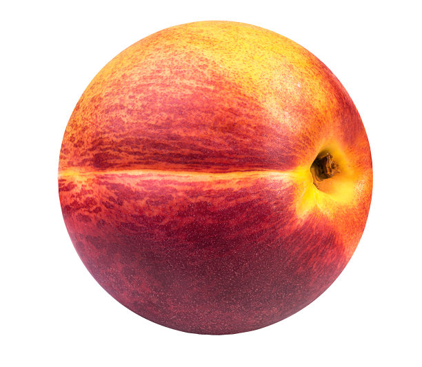 桃孤立在白色上图片下载